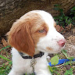 Meet your Posher, Alison